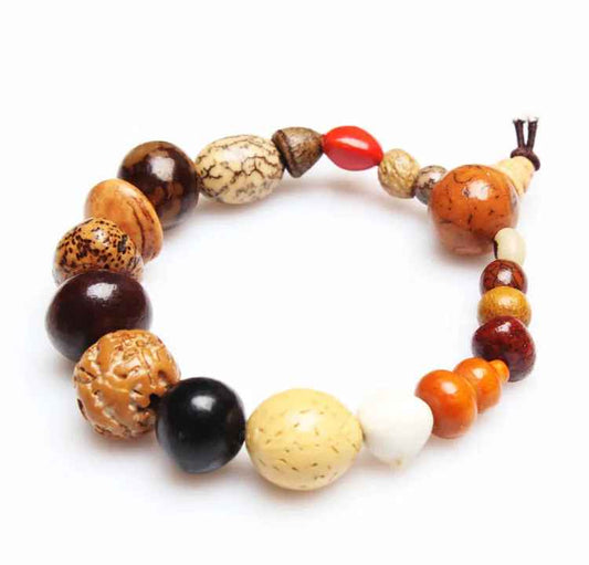 Bracelet mala tibétain en 18 graines Bodhi naturelles disposé en cercle sur fond blanc, cordon marron et perles multicolores.